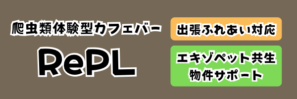 爬虫類カフェバーRePL〈レプル〉