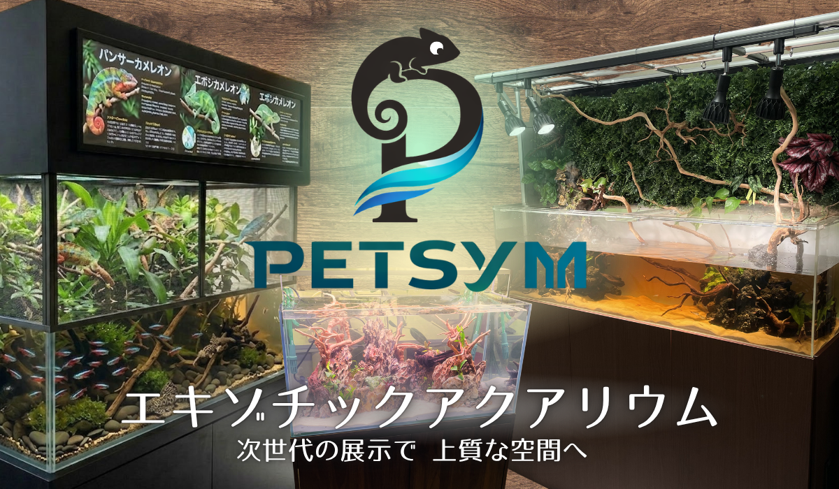 PETSYMのTOP
